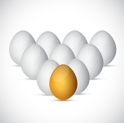 set of eggs illustration design