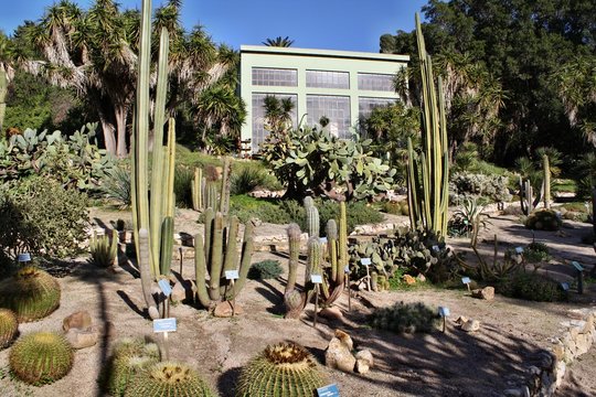 Orto botanico di Cagliari