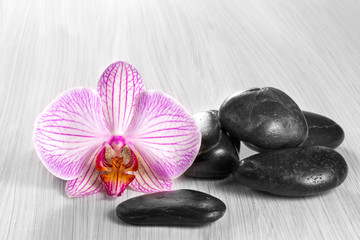 Naklejka na ściany i meble Pink orchid on a wooden background