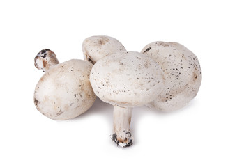 mushrooms and raw mushrooms isolated on white background