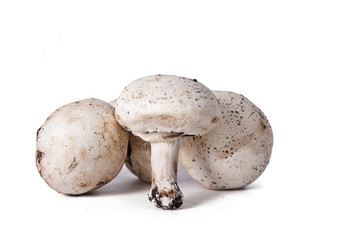 mushrooms and raw mushrooms isolated on white background