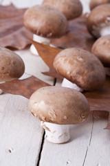Still life of mushrooms and raw mushrooms