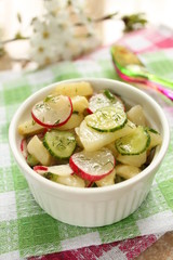 salad spring