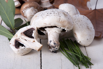 Still life of mushrooms and raw mushrooms