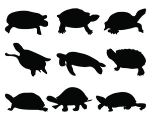 Black silhouettes of turtle, vector