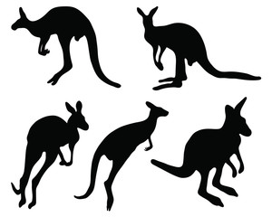 Silhouettes of kangaroo, vector