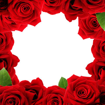 Red Roses Boarder