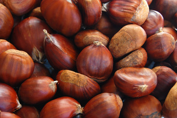 Obraz premium FONDE DE CASTAÑAS