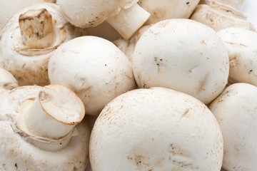 Champignon mushrooms