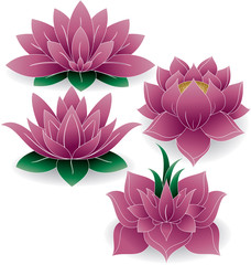 Lotus Set Colored 1