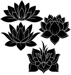 illustration of great lotus