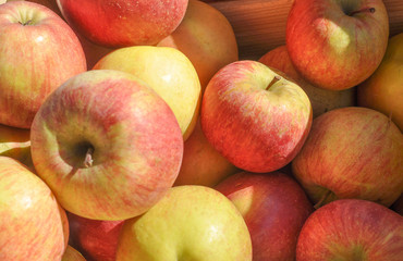 Red Apple