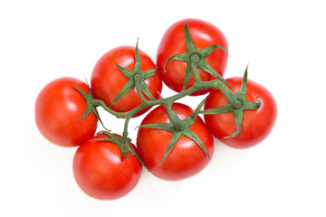 Tomatoes isolated on white background