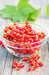 Red currants in glass bowl