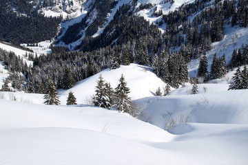 Fototapeta premium Montagne