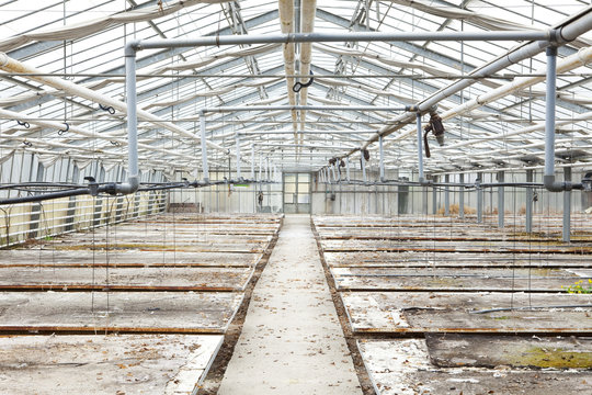 verlassenes gew&auml;chshaus