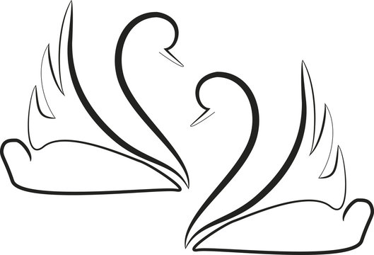two swans
