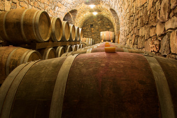 Barrels in a wine cellar