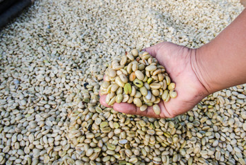 coffee beans in hand