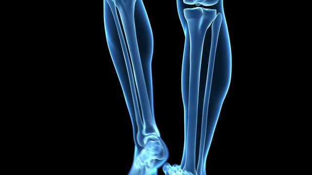 Medical animation of a walking guy - visible bones