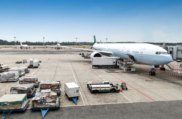 Fototapeta na wymiar Aircraft Ground Handling at the Airport Terminal