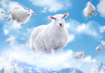 Papier Peint photo Lavable Moutons Moutons dans les nuages