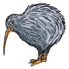 kiwi bird