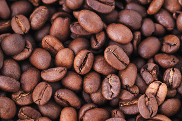 coffee beans
