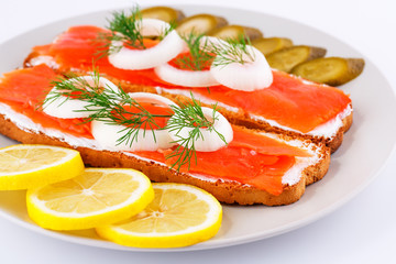 Salmon sandwiches