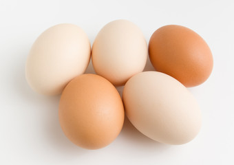 eggs