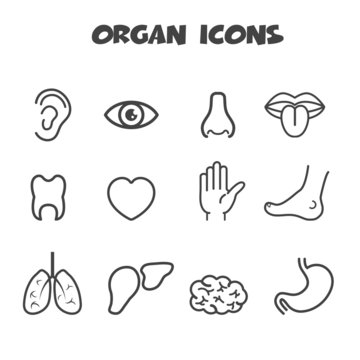 organ icons