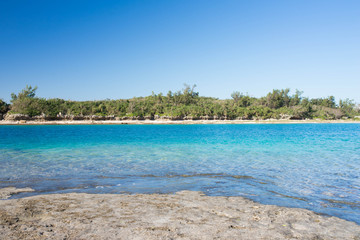 沖縄の海（奥武島）
