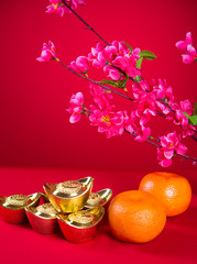 chinese new year decorations,generci chinese character symbolize