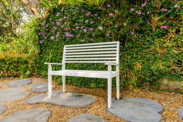 white bench in the garden and greenleaves wall