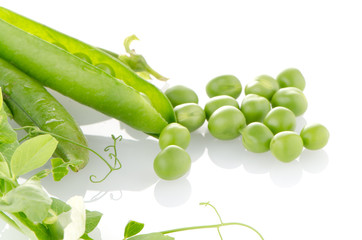 Fresh green pea pod