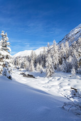 Fototapeta na wymiar śnieżny krajobraz górski