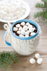 Fototapeta na wymiar Mug filled with hot chocolate and marshmallows