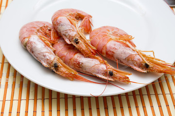 seafood isolated