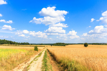 Obraz premium clouds