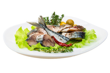 Mackerels