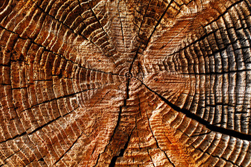 Natural details of sun dried wood of a 100 years old barn