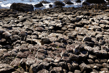 The famous Giant's Causeway of Northern Ireland