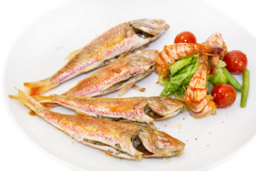 grilled fish with shrimp salad