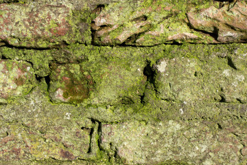 Detail of an old monumental wall in Wassenaar, The Netherlands.