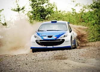 Photo sur Plexiglas Sport automobile Voiture de rallye en action - Peugeot 206 S2000