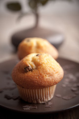 Zwei Muffins - Tiefenunschärfe