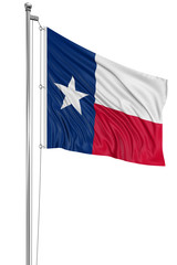 3D Texas Flag