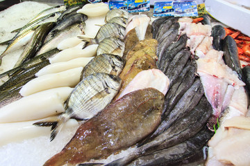 Variation of a fresh fish at the Toulouse fish market