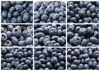 Blueberries