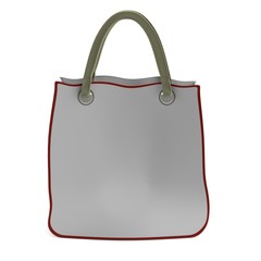 realistic 3d render of bag